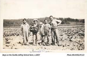 Boys on the Cecilia Jeffrey School Farm, c.1937 - g-4451-fc-13